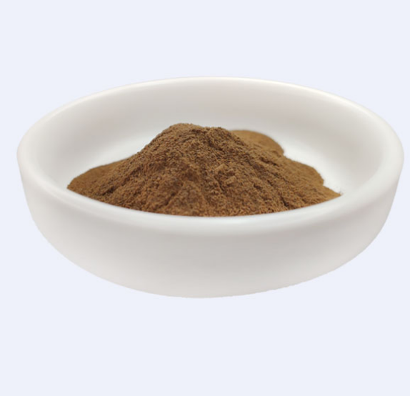 100% naturalny ekstrakt z oczaru wirginijskiego Hamamelis virginiana jako surowce kosmetyczne 0
