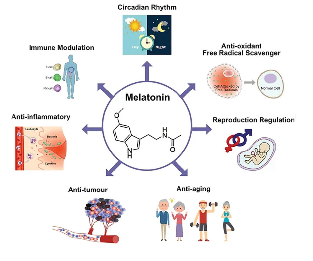 Melatonina CAS 73-31-4 Melatonina do regulowania snu Poprawa Białego Koloru Purość 99% 1