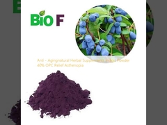 Anty- starzenie sięnaturalne suplementy ziołowe Indigo Powder 40% OPC Relief Asthenopia