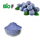 100% Pure Blueberry Extract Freeze Dried Powder Health Care Food Grade