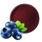 100% Pure Blueberry Extract Freeze Dried Powder Health Care Food Grade