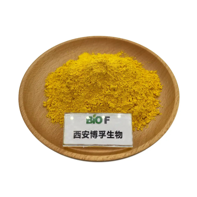 4:1 To 200:1 15% To 50% Rosmarinic Acid Rosemary Leaf Extract Powder